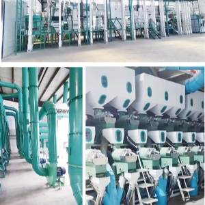 Complete Set of Milling Rice Equipment with Output of 80-300 T/D